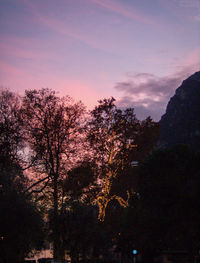 Low angle view of silhouette trees against sky at sunset