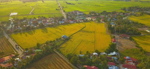 High angle view of crowd in field