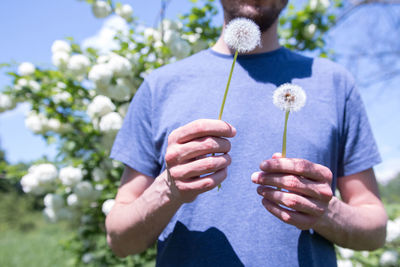 Midsection of man holding dandelion seed