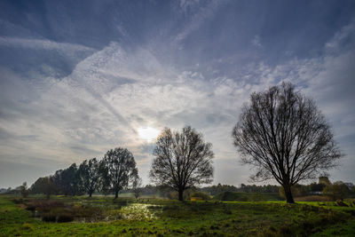 Bare trees on field against sky