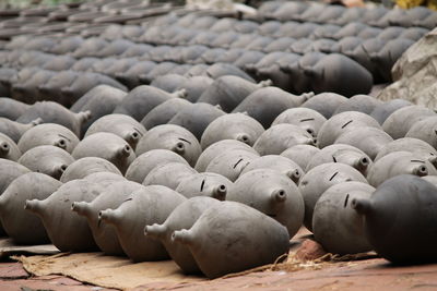 Piggy banks on field for sale