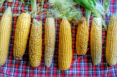 Close-up of food