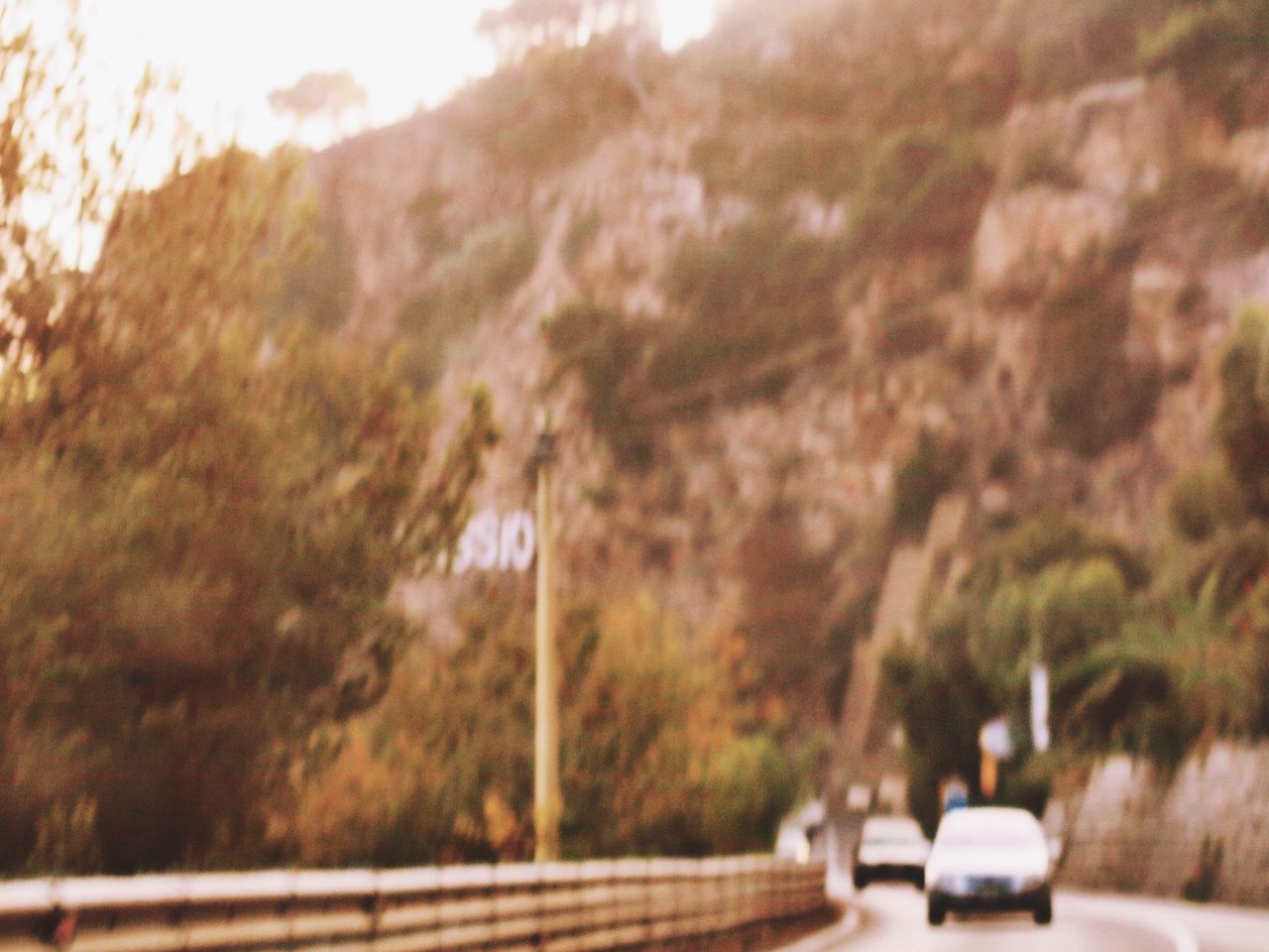 MAN ON ROAD AGAINST TREES