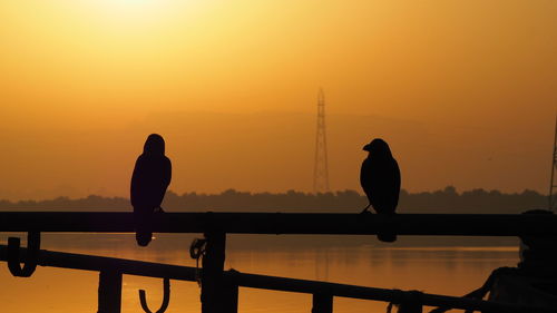 Silhouette bird perching on railing against sea during sunset