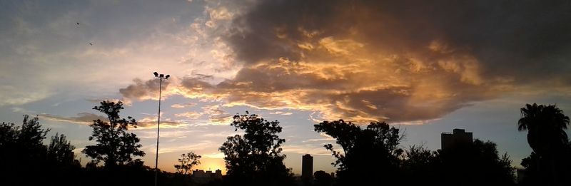 Low angle view of silhouette trees against sky
