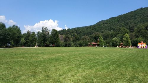 Scenic view of field against sky