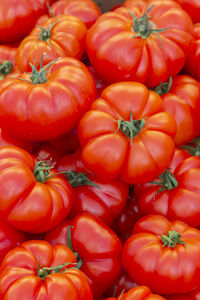 High angle view of tomatoes for sale at market stall