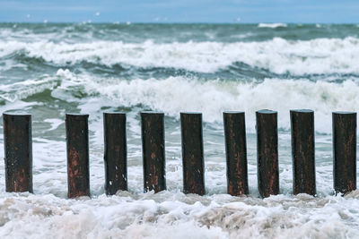 High wooden breakwaters stretching at coastline, close up view. long poles or groynes in foaming sea
