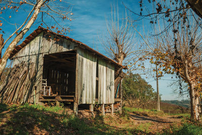 Rural autumn landscape with a small shabby shack, in a vineyard near bento goncalves. brazil.