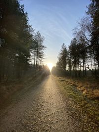 Road amidst trees in forest against sky