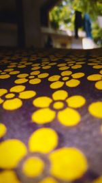 Close-up of yellow table