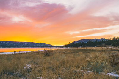 Scenic view of field against sky during sunset