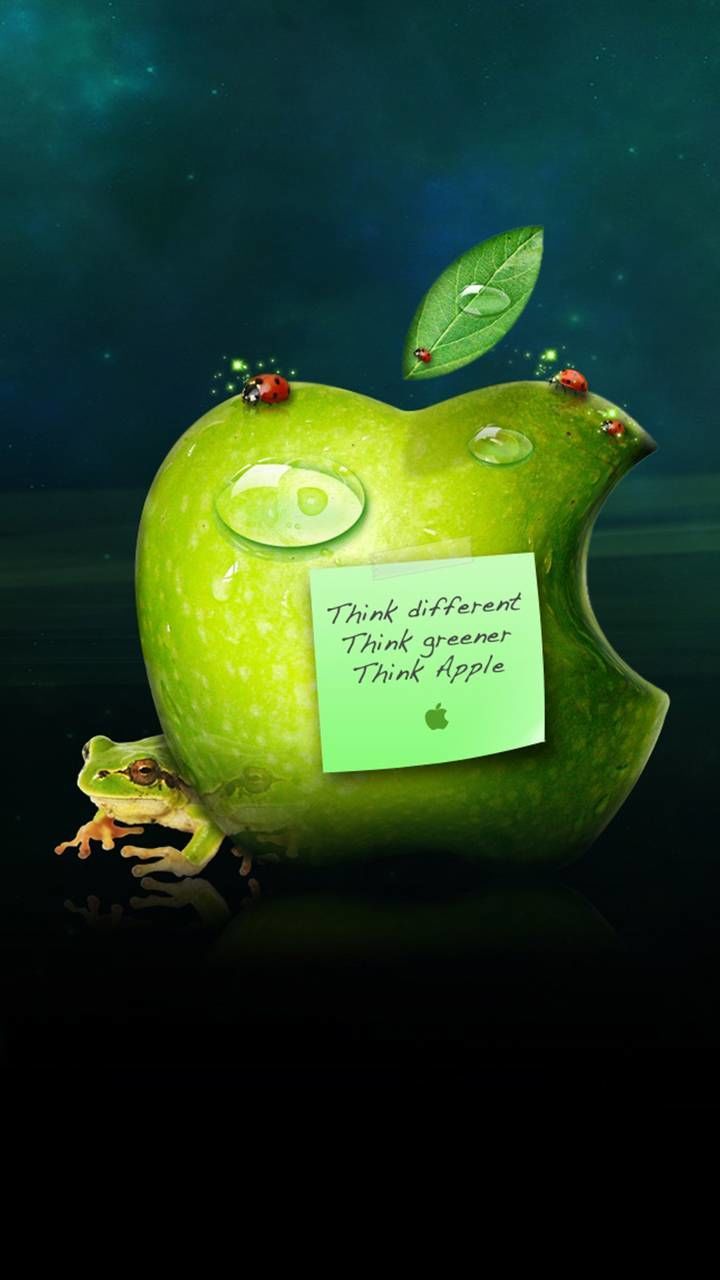 fruit, healthy eating, green color, no people, food and drink, indoors, food, wellbeing, apple - fruit, studio shot, still life, freshness, close-up, apple, granny smith apple, text, western script, slice, communication, leaf, ripe