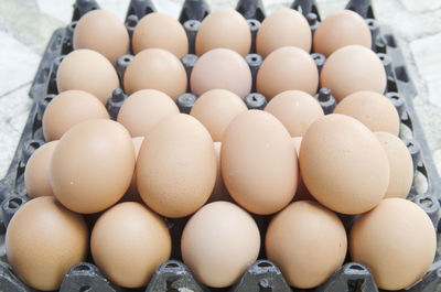 Close-up of eggs in container