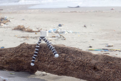 Close-up of wooden posts on beach