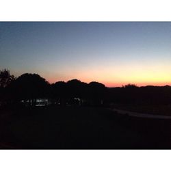 Silhouette of trees at sunset