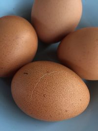 Close-up of eggs on table