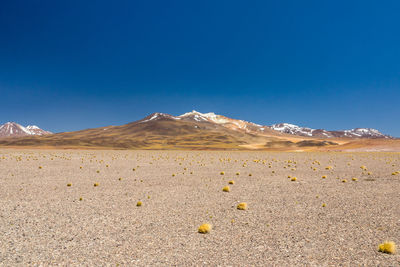 Scenic view of desert against blue sky