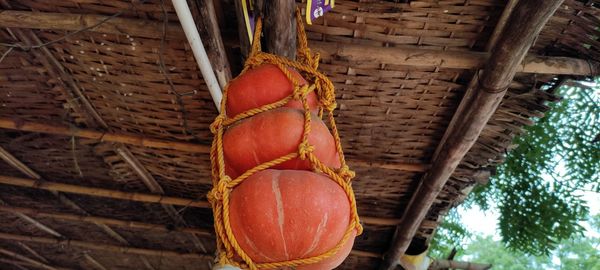 Low angle view of fruits hanging on ceiling
