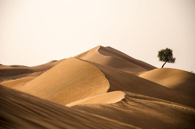 View of a desert