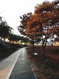 Road amidst trees against sky