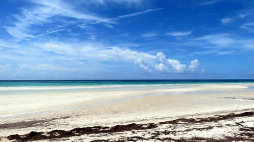 Scenic view of beach against blue sky