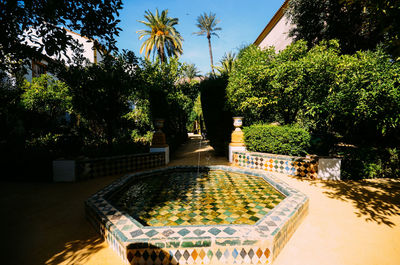 Fountain in park against sky