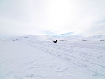 Scenic view of snowcapped mountains