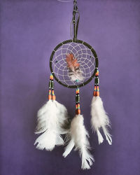 Dreamcatcher hanging from purple wall