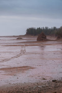 Scenic view of beach against sky