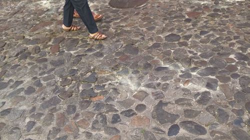 Low section of people in water