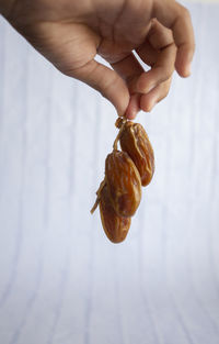 Close-up of hand holding shell