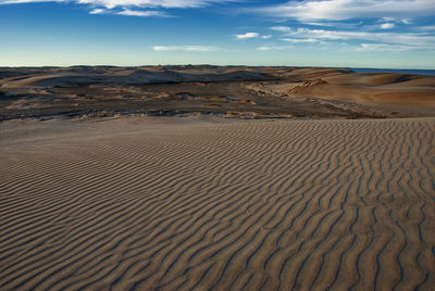 The late afternoon sun casts shadows across the sand dunes at adolfo lopez mateos in baja california