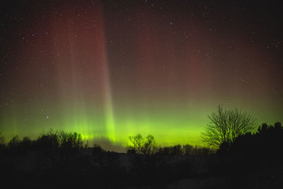 Low angle view of silhouette trees against sky at night