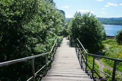 Footbridge amidst trees by lake against sky