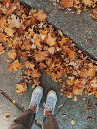 Low section of person standing on maple leaves during autumn