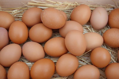 High angle view of brown eggs on straw