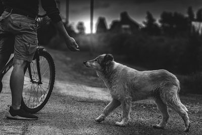 Low section of man riding bicycle