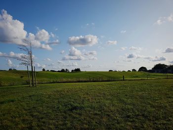 Scenic view of field against sky