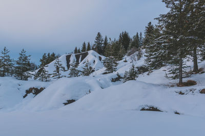snow