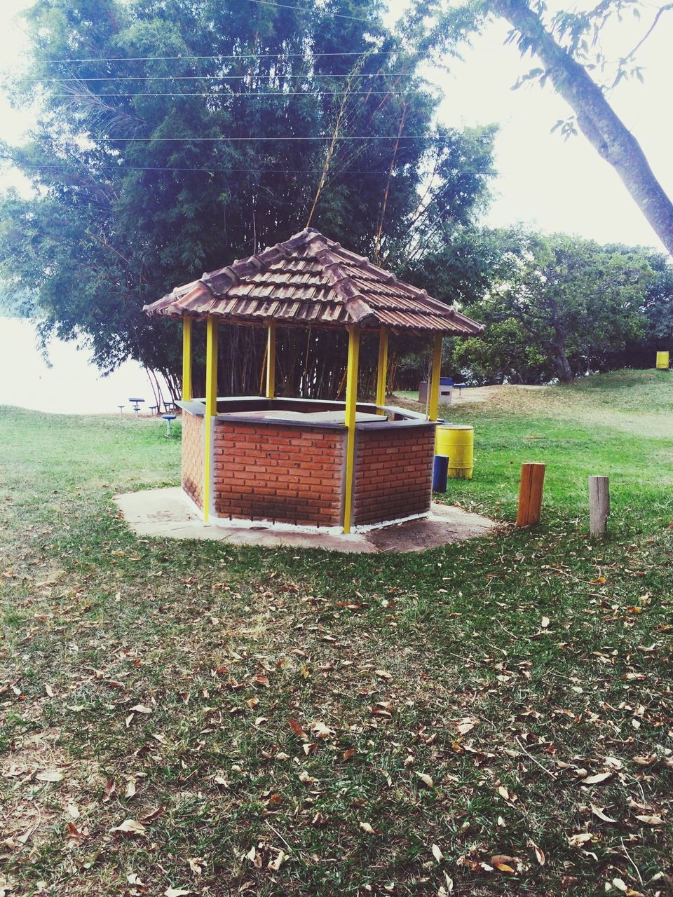 tree, built structure, bench, grass, architecture, tranquility, building exterior, wood - material, park - man made space, house, nature, tranquil scene, growth, day, field, outdoors, gazebo, sunlight, plant, absence