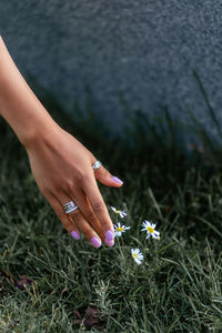 Female hand with a beautiful manicure on a background of grass