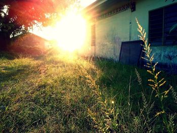 Sun shining through house on grassy field