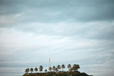 Low angle view of palm trees on hill against cloudy sky