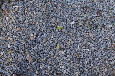 High angle view of stones