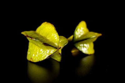 Close-up of yellow flower over black background