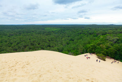 Tourists at duna pilat arcachon in france . scenery  green forest and sandy duna . la teste-de-buch