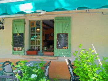 Potted plants on building