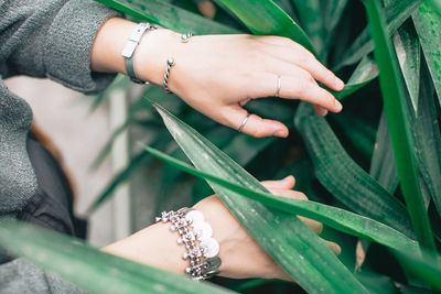 Midsection of woman touching leaves