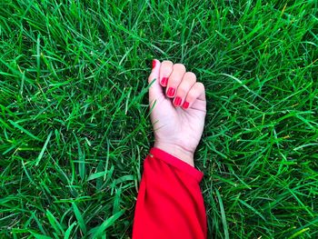 Cropped hand of woman showing red nail polish on grassy field